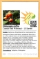 Preview: Mimusops caffra, 10 Samen